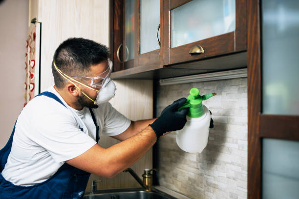 Best Affordable Pest Control Services  in Chackbay, LA