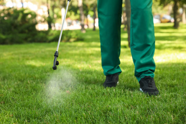 Professional Pest Control in Chackbay, LA