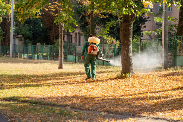 Pest Control Cost in Chackbay, LA